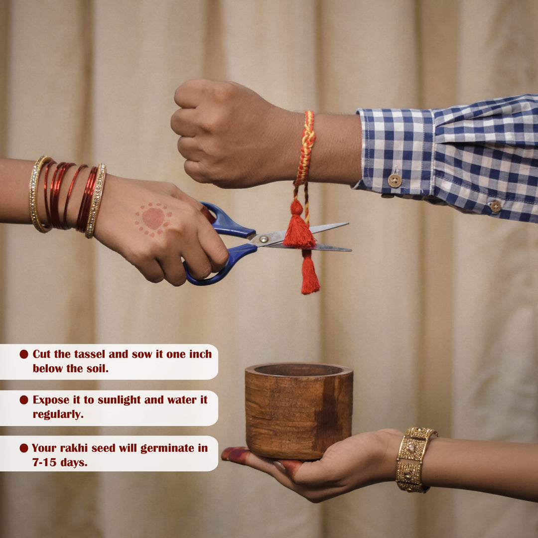 Anant Sutra Plantable Rakhi Sibling Box | Eco-Friendly Rakhi with Tulsi Seeds | Scrapshala
