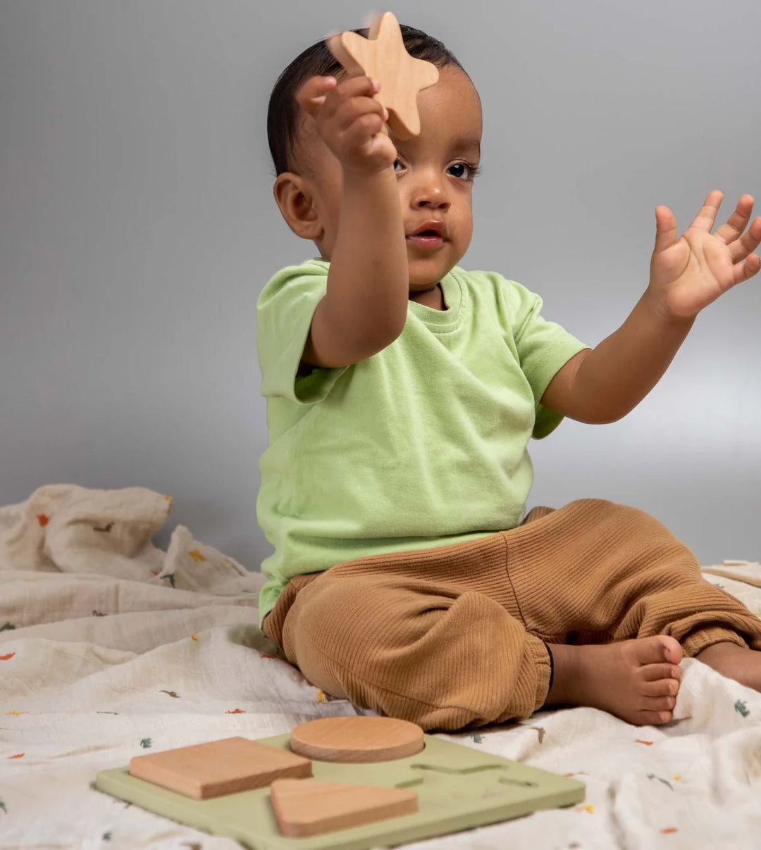 BIRCH & BUG Shape Puzzle Set of 4