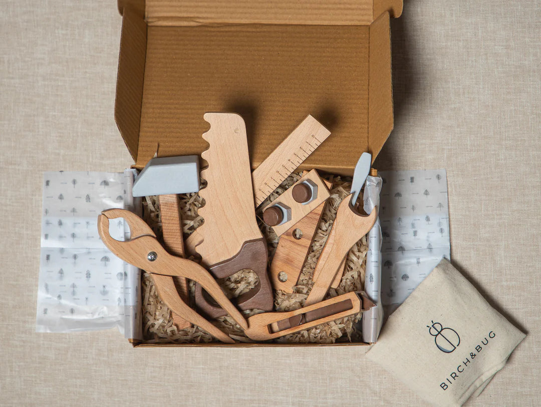BIRCH & BUG Tool PlaySet - 13 Pieces