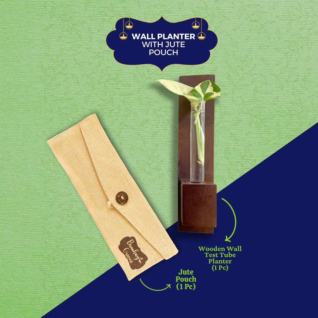 Bombay Greens Green Decor Planter Hamper