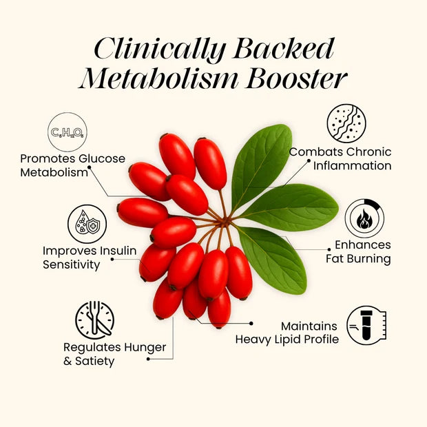CannazoIndia Liposomal Berberine 98% HCl+ - India&