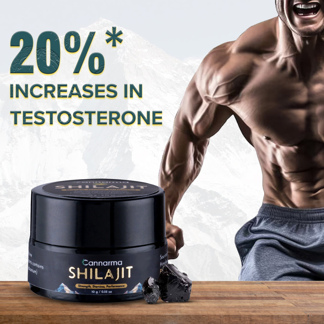 Cannarma Shilajit | Helps in Boosting Stamina | Contains Natural Resin | 100% Ayurvedic (10 g)