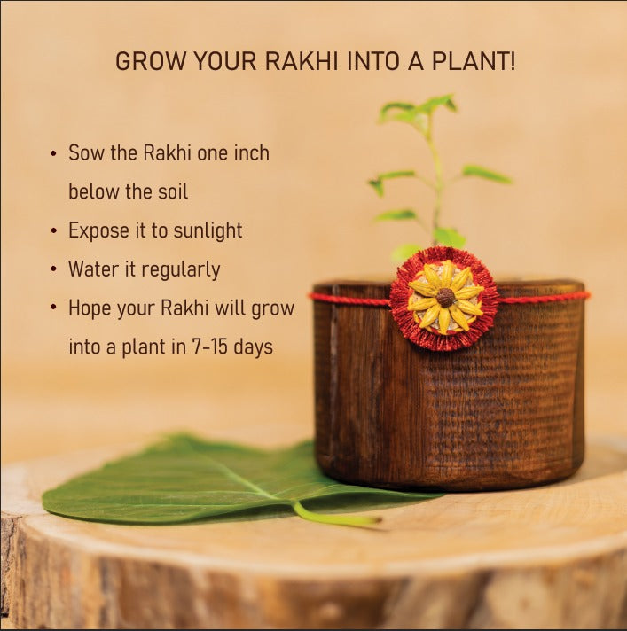 Scrapshala Akkad-Bakkad Rakhi Gift Box | Set of 2 Plantable Rakhis