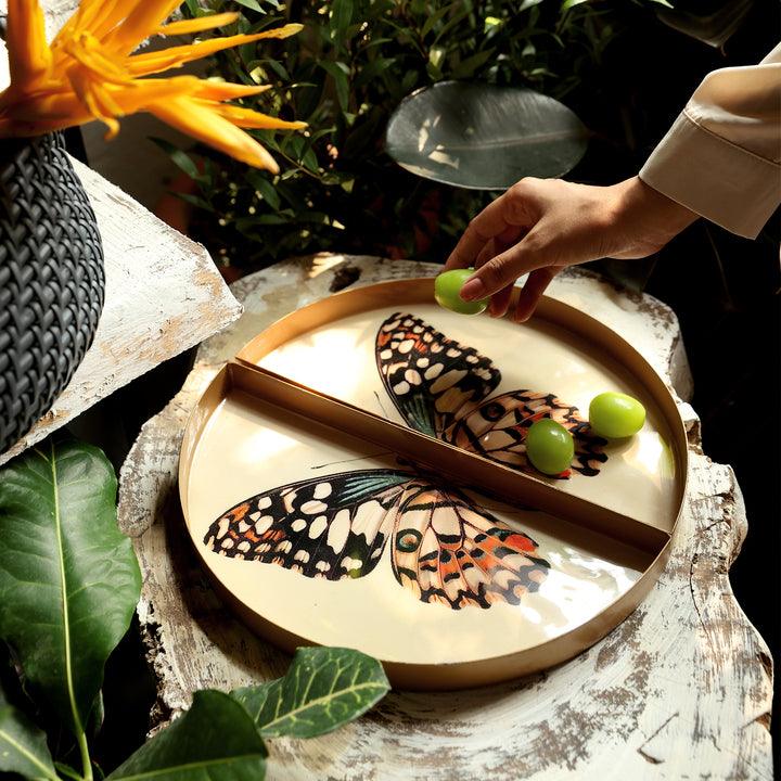 Goomti Symphony Wings - The Butterfly Tray