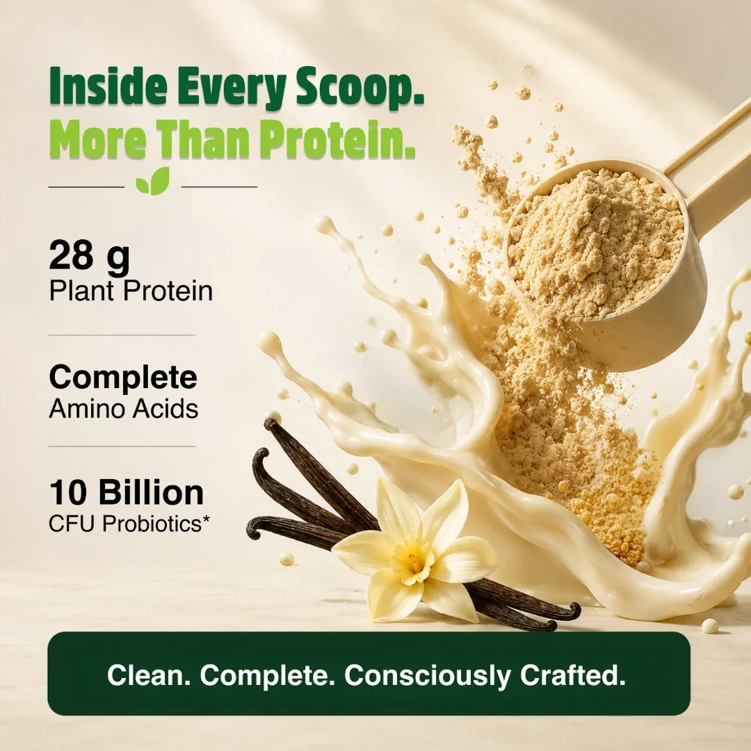 Organic Plant Based Protein Powder Vanilla