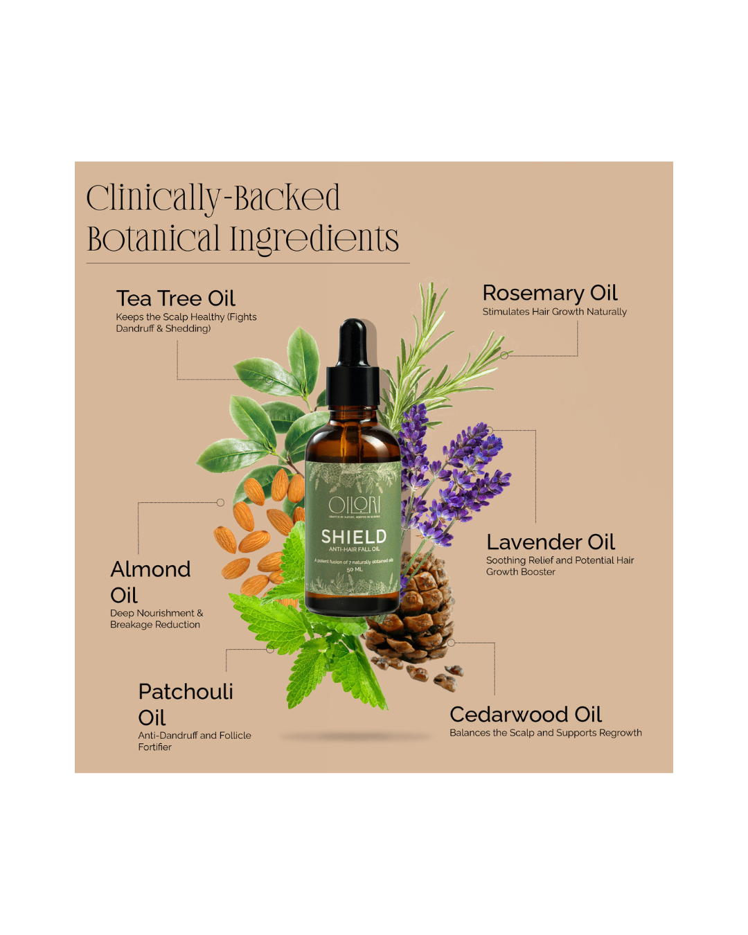 Shield (Anti-hair fall oil)