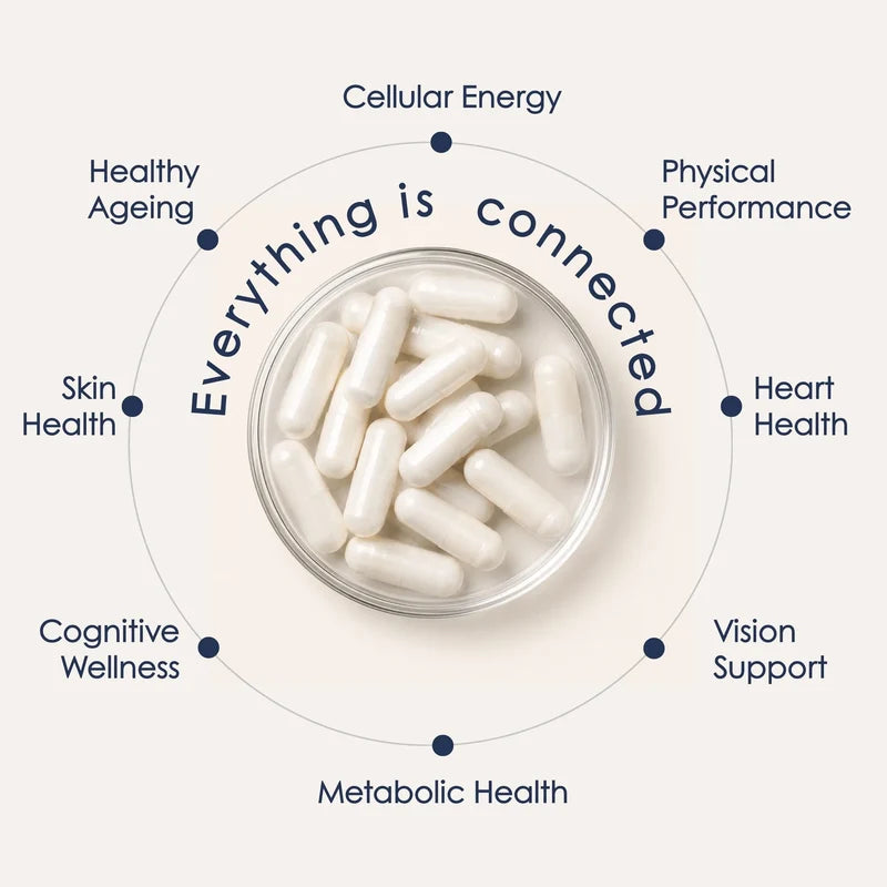 Longevita – Advanced Longevity & Healthy Ageing Formula