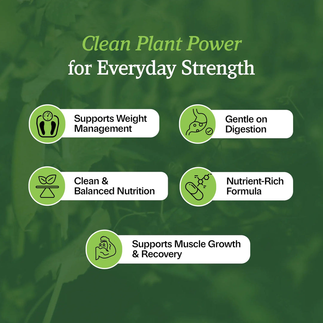 Organic Plant-Based Protein Vanilla