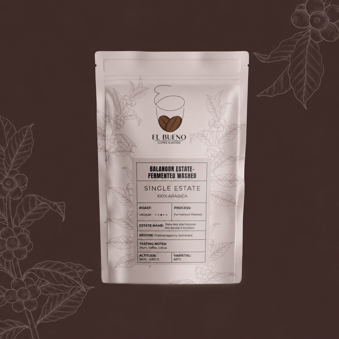 El Bueno Balanoor Fermented Washed - Chandragiri Coffee Beans