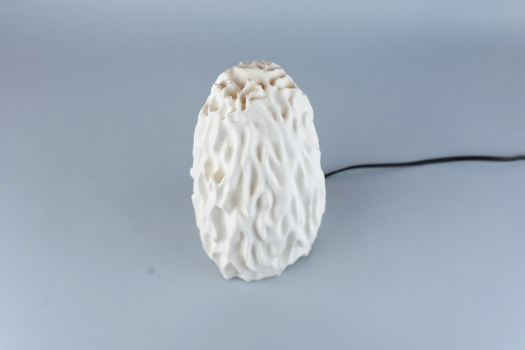 Untouched Coral Table Lamp | Designer LED Table Light