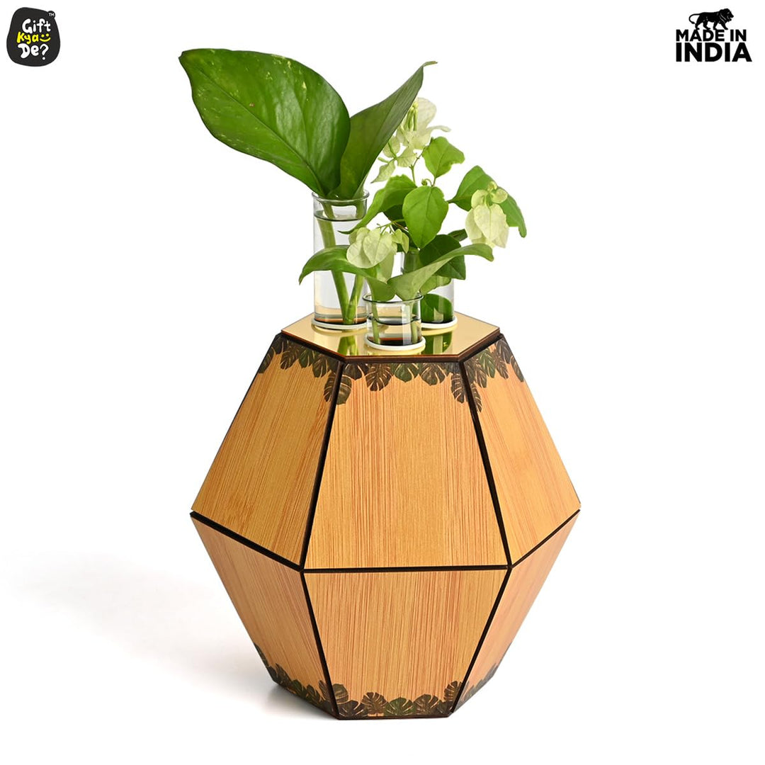 Gift Kya De Test Tube Planter with Wooden Holder / Calendar 2025, Table Top Decor Planters | Hexagon Design | Corporate Gifts