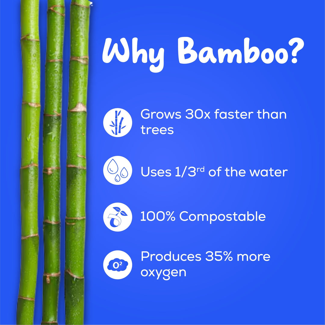 Bamboo Toilet Paper (3 Ply | 160 Pulls | Pack of 18)