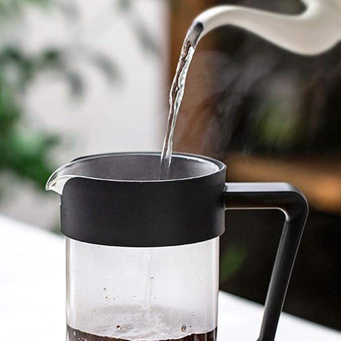 The Bean Co Roasters French Press Coffee Maker 600 ml | Heat Resistant Borosilicate Glass | 4 Level Filteration
