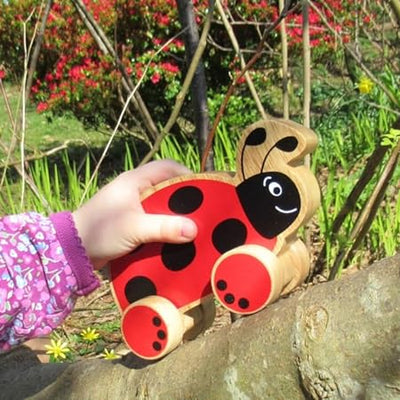 Premium Pull Along Toy Wooden Ladybird for 12 Months & Above Kids, Toddlers, Infant & Preschool Toys - Multicolor - with Attached String- Encourage Walking