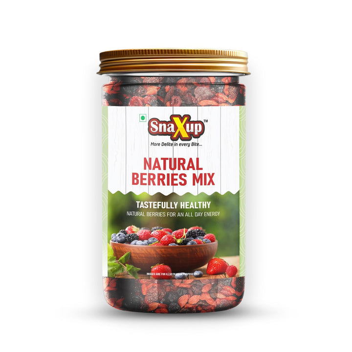 Snaxup Premium American Natural Berries Mix 500g