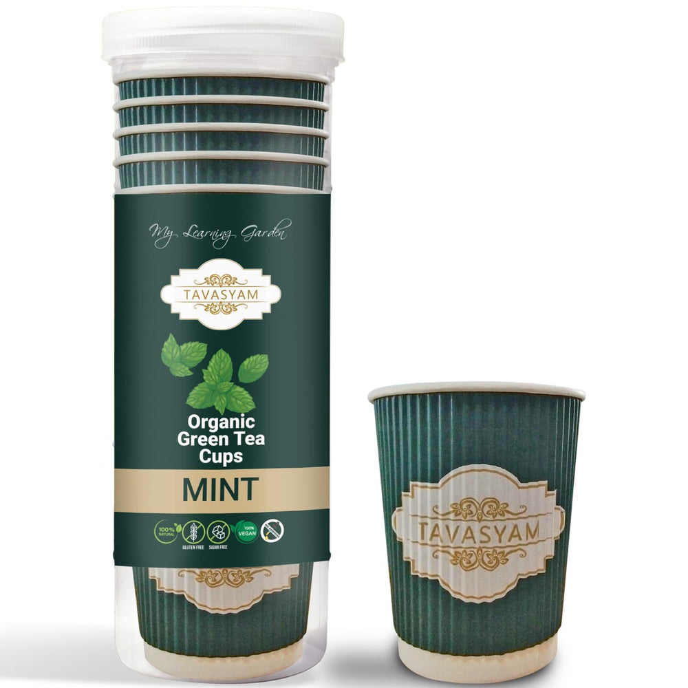 TAVASYAM Ready to Sip Mint Flavour Green Tea Cups - Vegan, Gluten Free & Sugar Free - Pack of 12 Cups Pre-Filled Tea Cups 200 ml Each