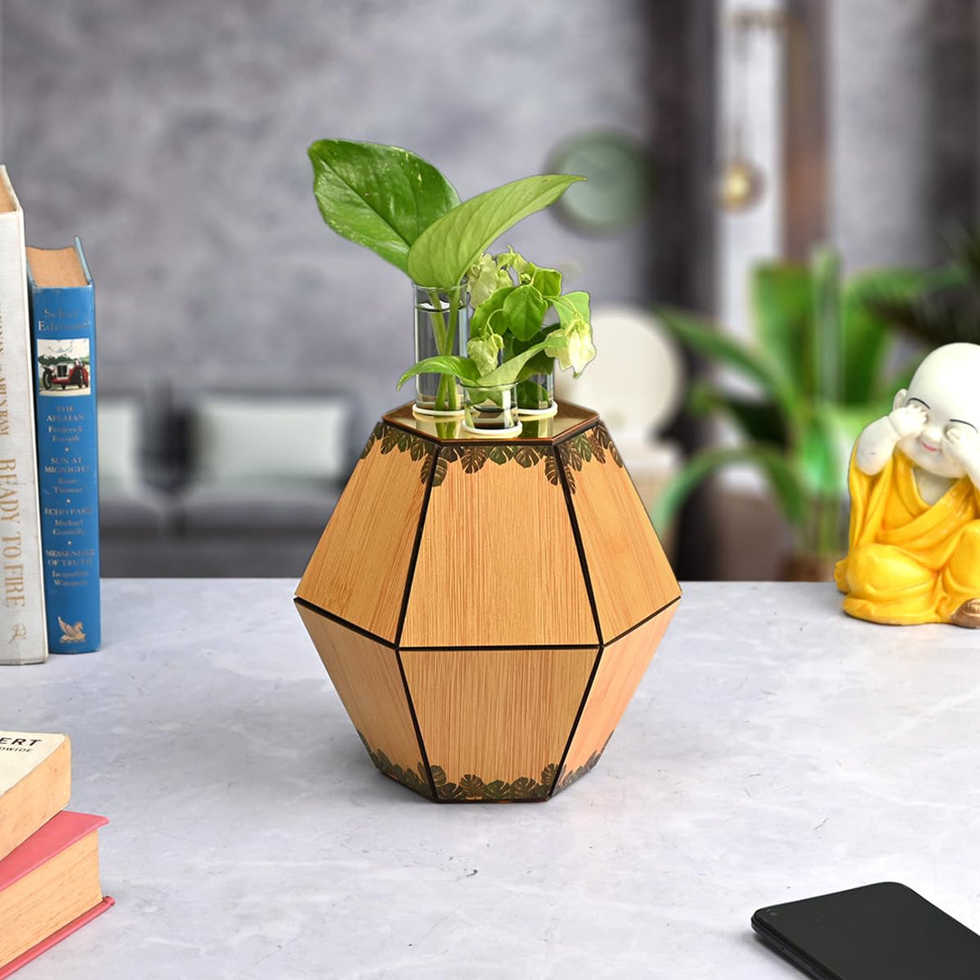 Gift Kya De Test Tube Planter with Wooden Holder / Calendar 2025, Table Top Decor Planters | Hexagon Design | Corporate Gifts
