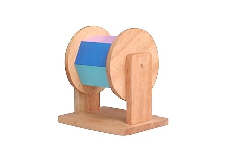 Wooden Rainbow Montessori Spinner Drum Toy with Rattle Sound for Babies (6+ Months) | Sensory & Fine Motor Skills | Encourages Curiosity & Movement