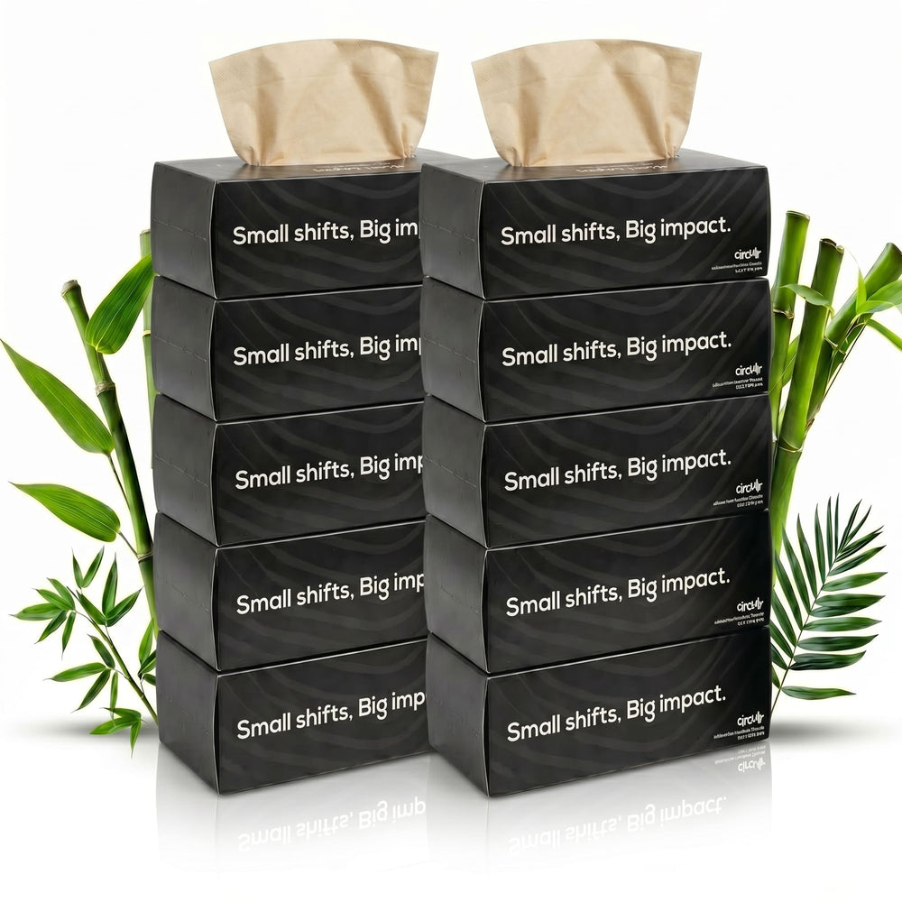 Bamboo Facial Tissues Black (2 Ply | 100 Pulls) (Pack of 10)
