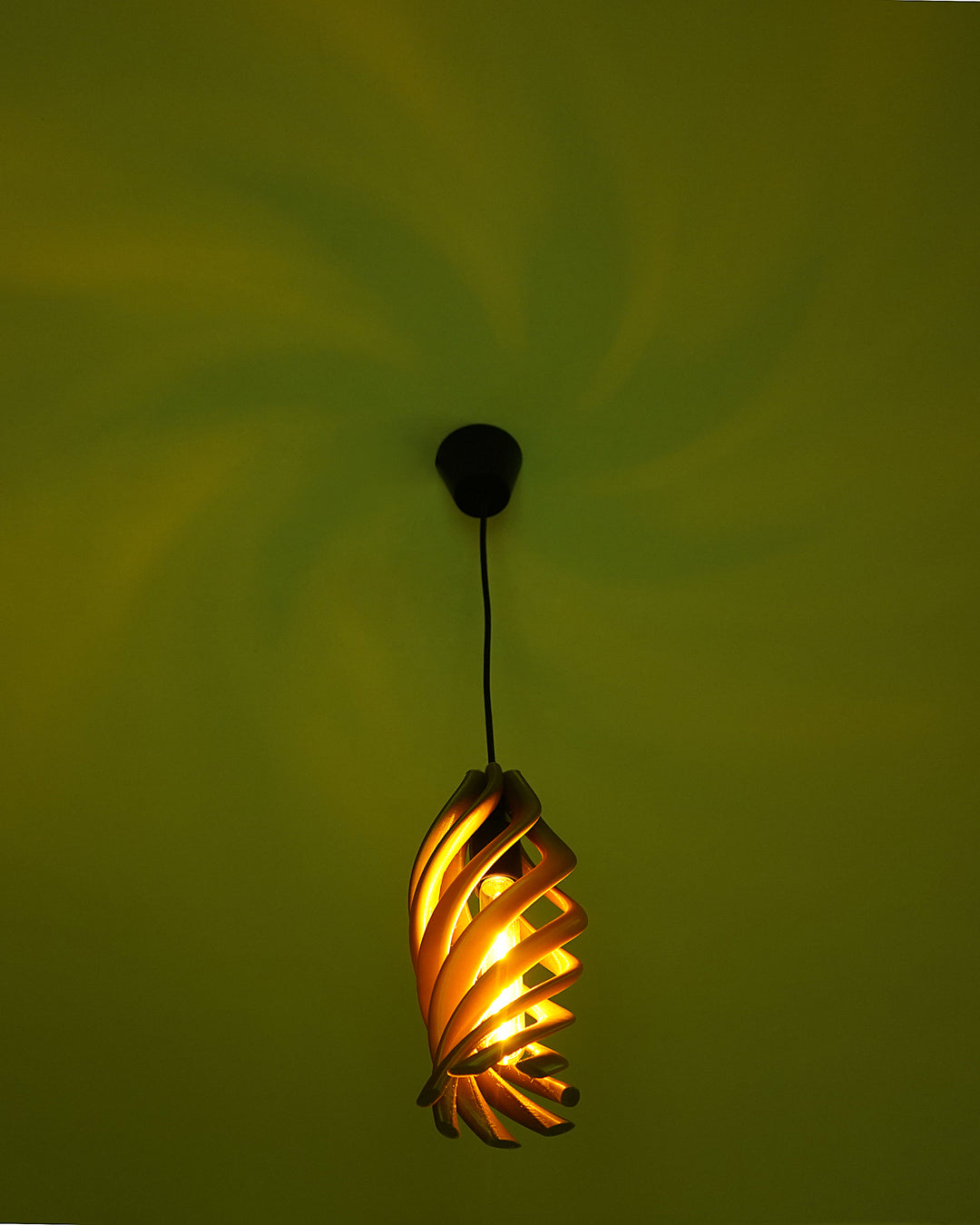 Photo 3.jpg