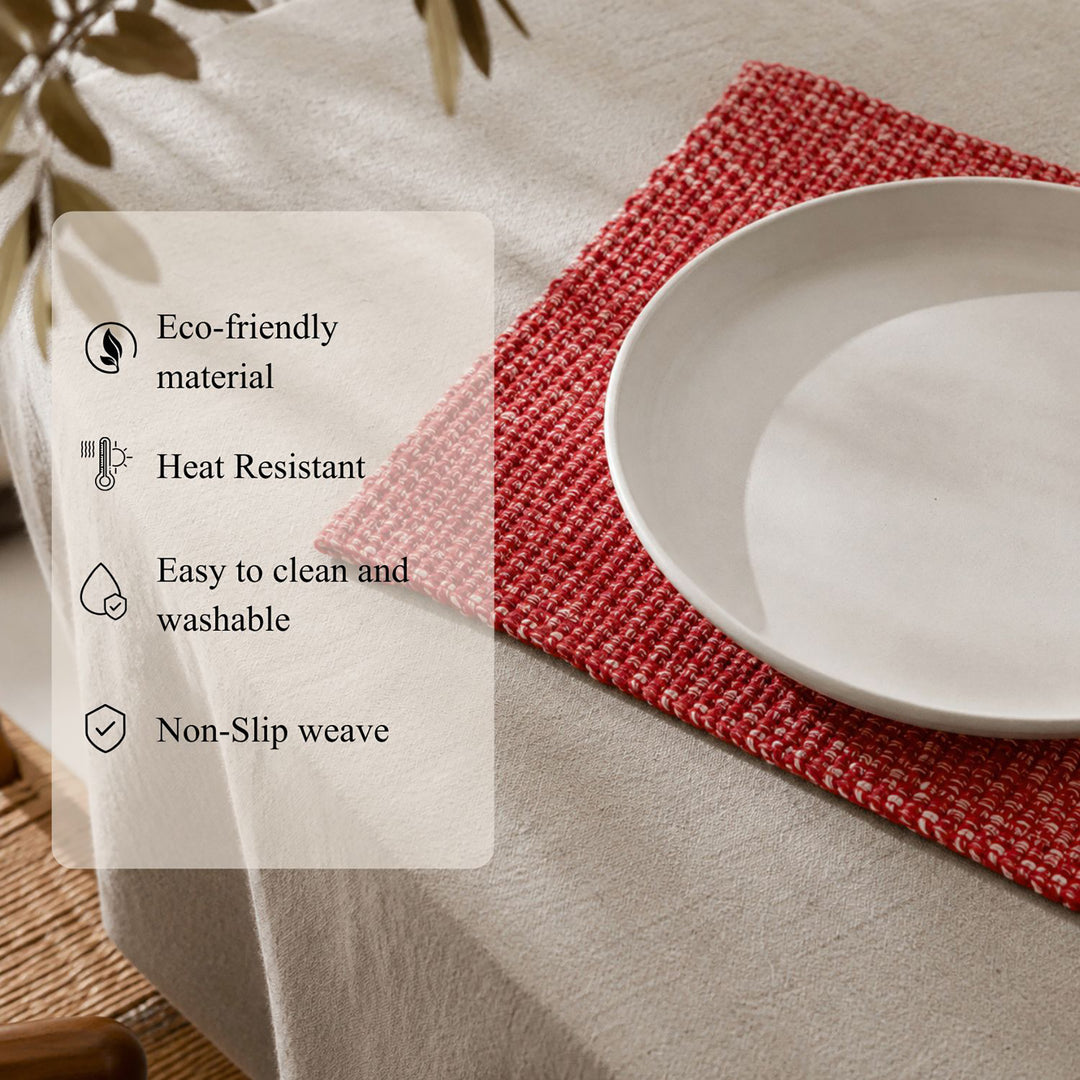 Cotton Woven Placemats Set of 4