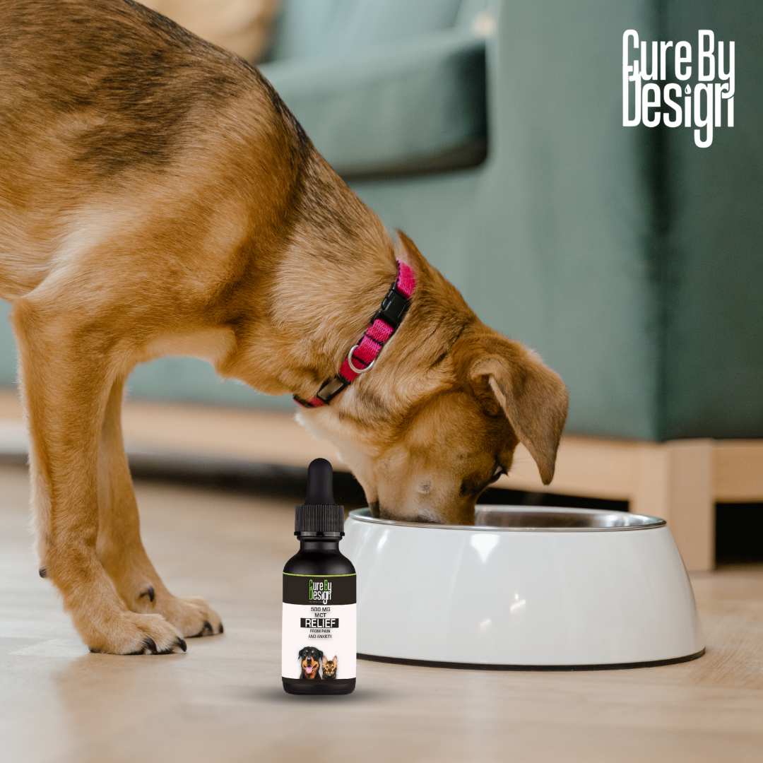 Cure By Design_s Pet Care Product price.png