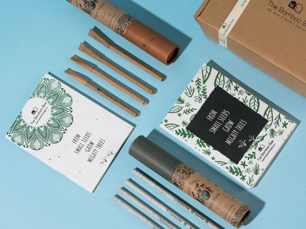 Eco Friendly Stationery Gift Kit | Set of Pens Pencils Notebooks