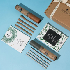 Eco Friendly Stationery Gift Kit | Set of Pens Pencils Notebooks