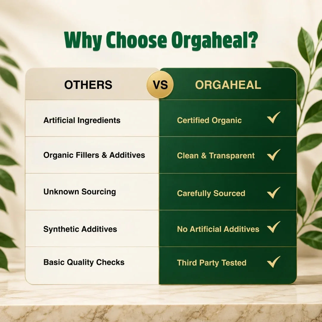 Organic Plant Based Protein Powder Unflavored