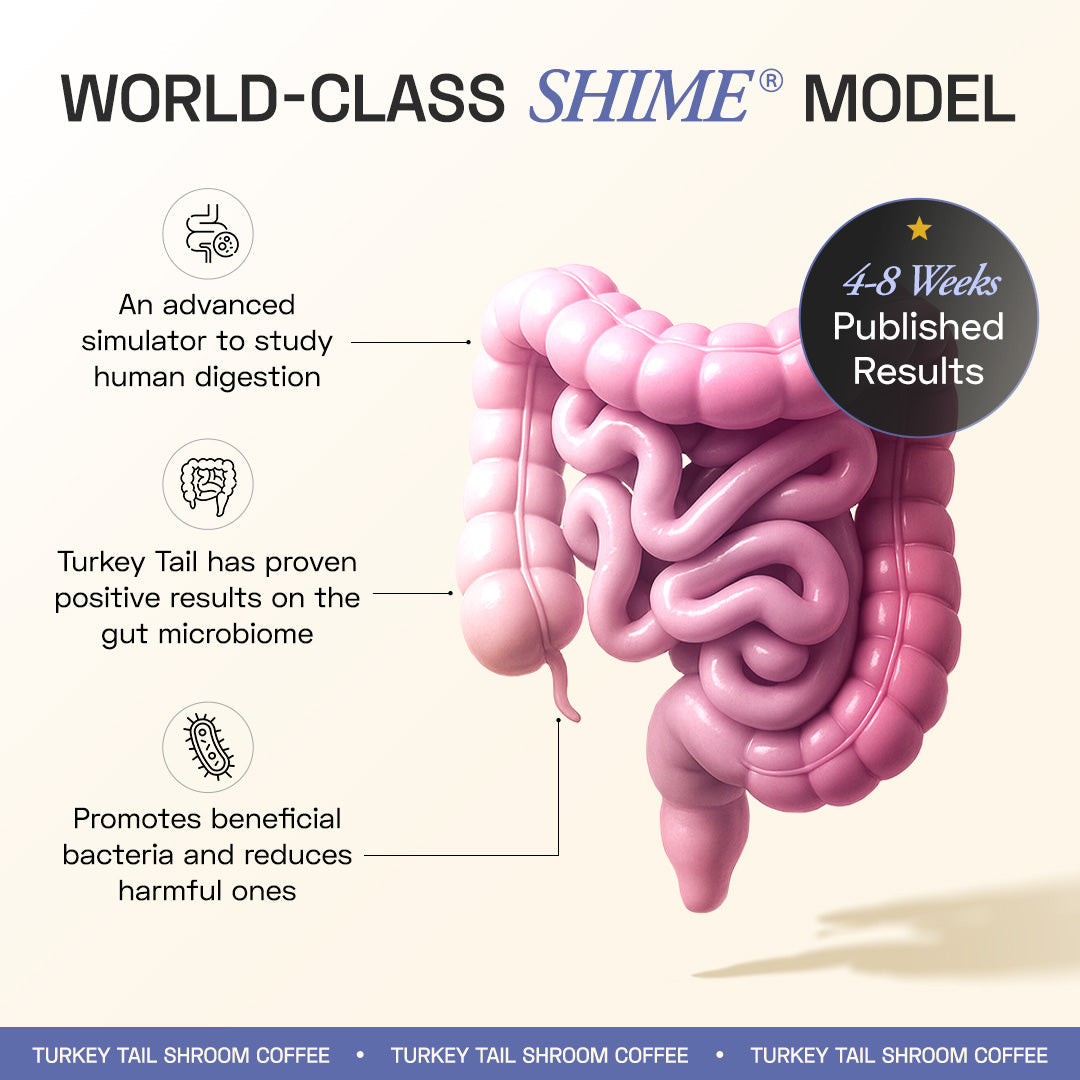 Ace Blend Turkey Tail Shroom Coffee