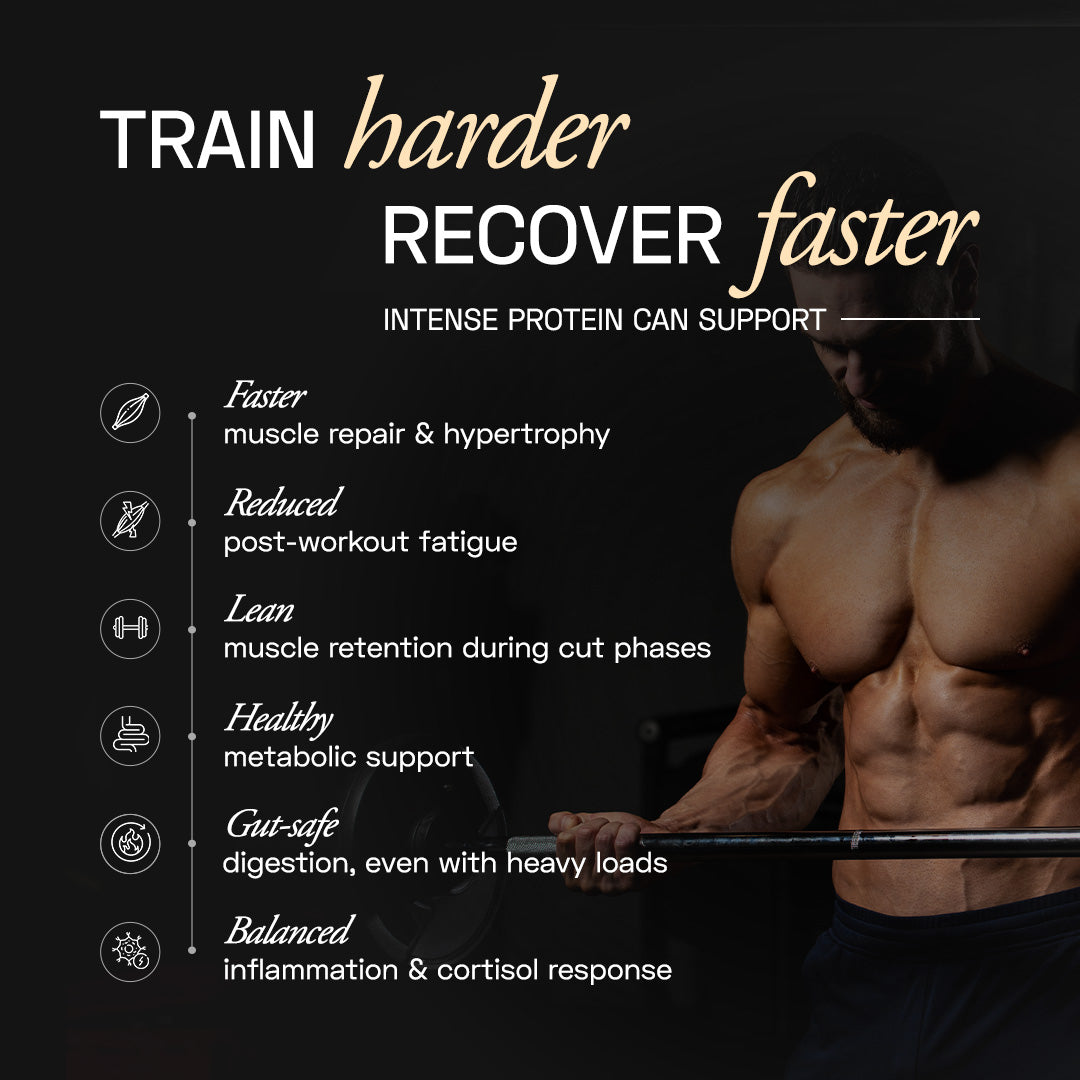 Ace Blend Premium Plant Protein | Intense