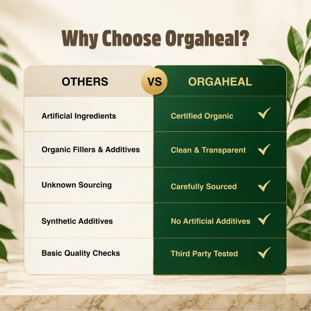 Organic Plant Based Protein Powder Chocolate