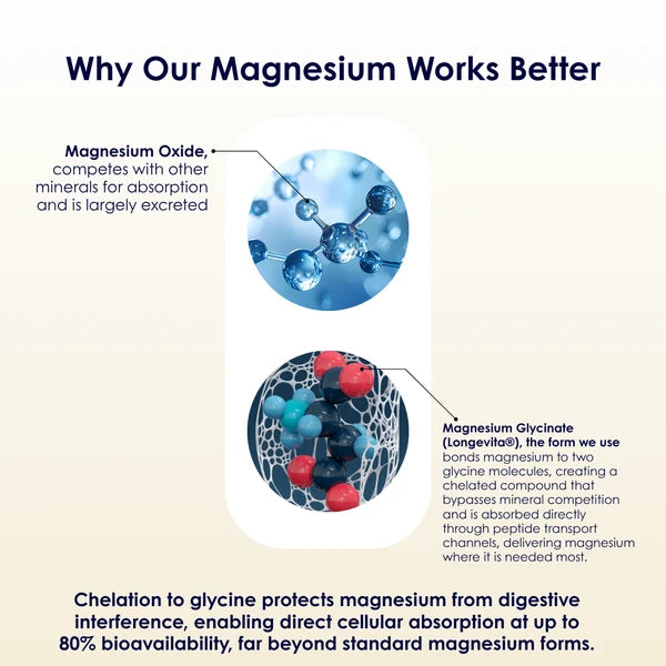 Longevita Magnesium Bisglycinate – 180 mg Elemental Magnesium