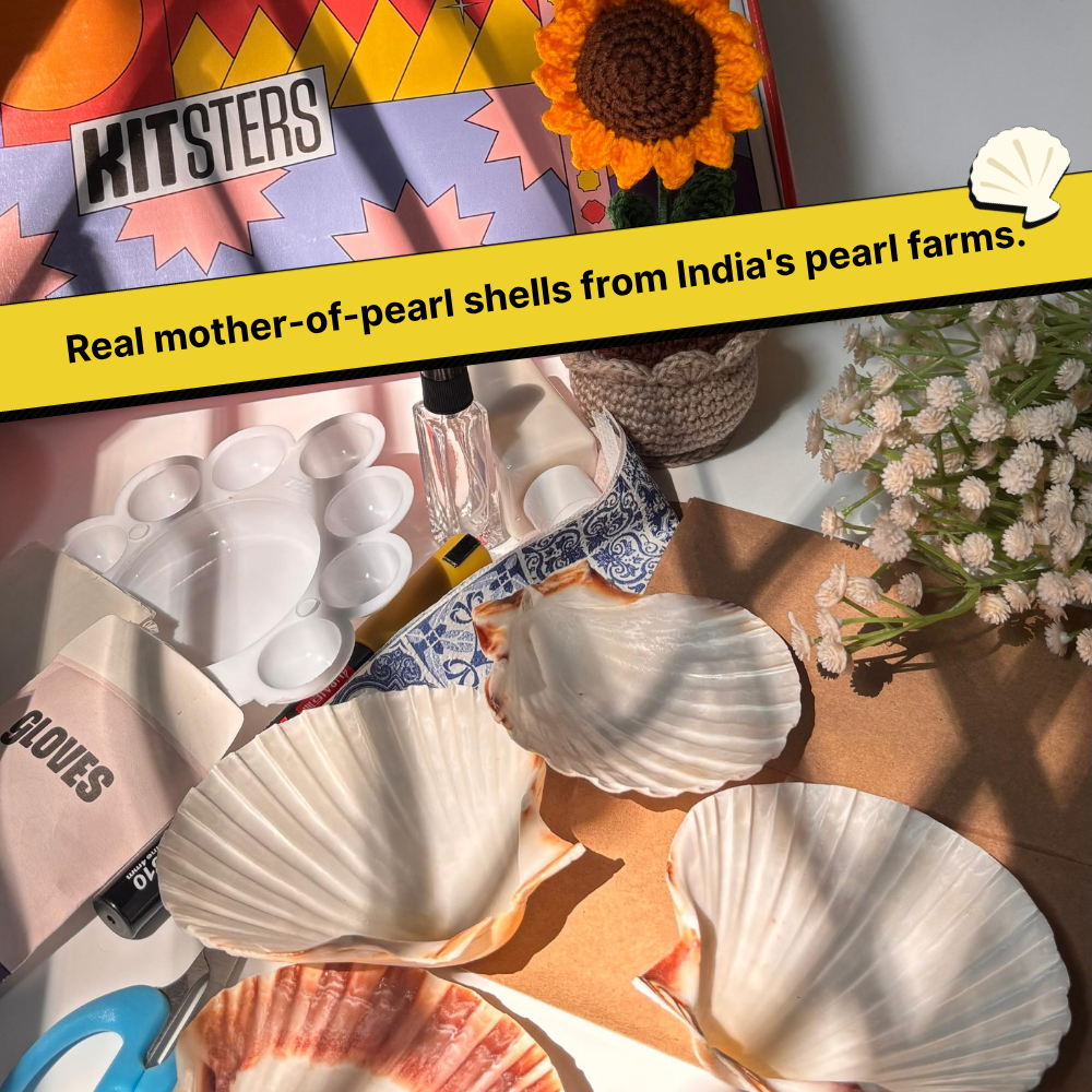 DIY Decoupage Shells Kit