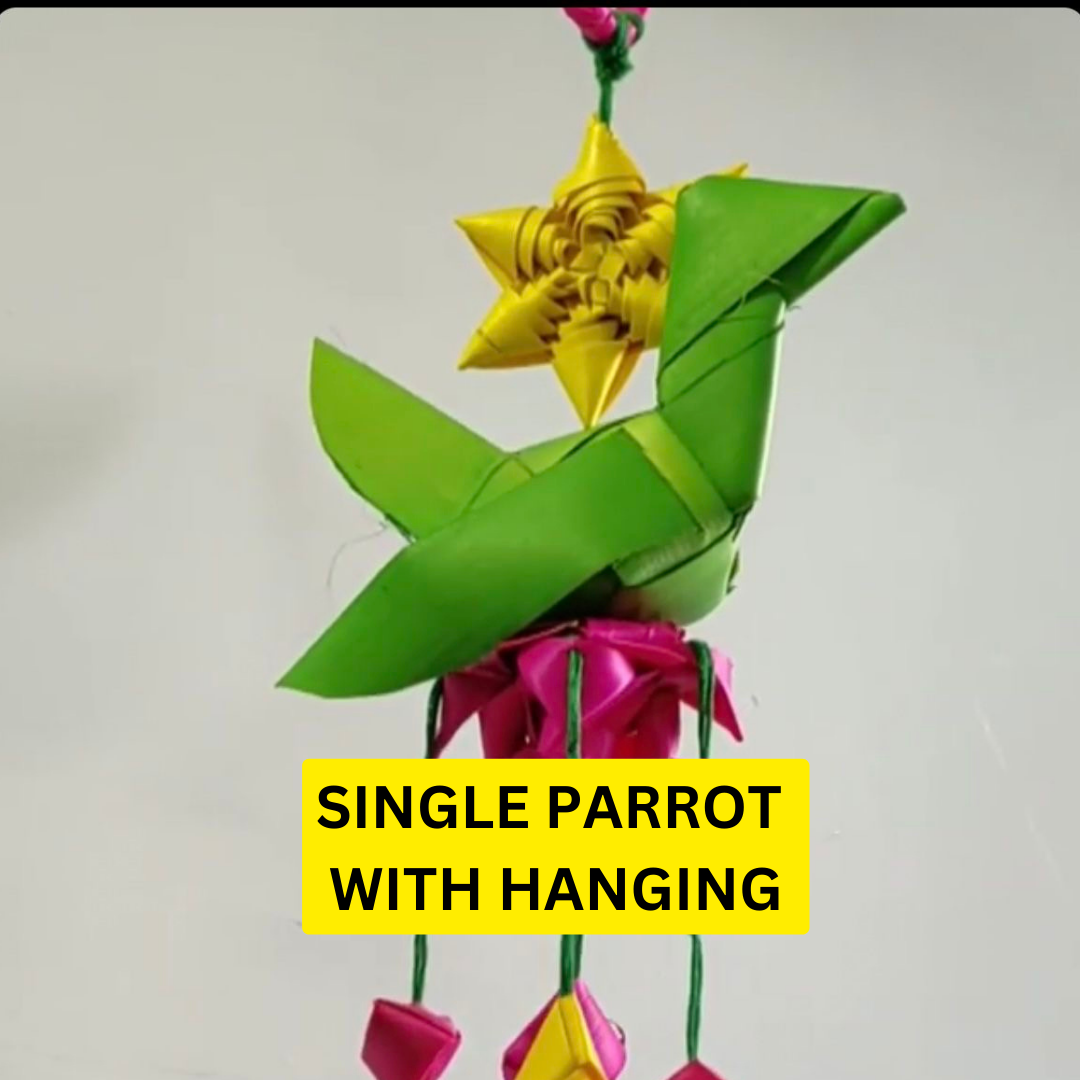 Shuddh Natural Hand made palm leaf parrot hanging I Diwali decoration I pair of 2 I 30 cm