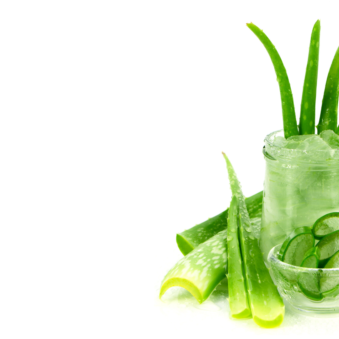 Natsbyte Aloe Vera Soothing Gel for All types of Skin  - 100g