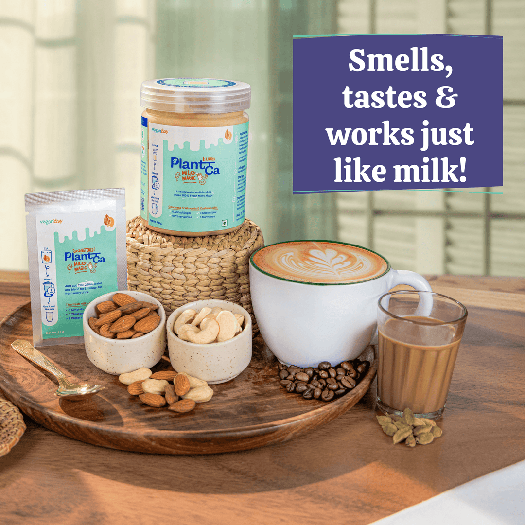 Vegan Day Plant Milk Starter Kit | Assorted Bases