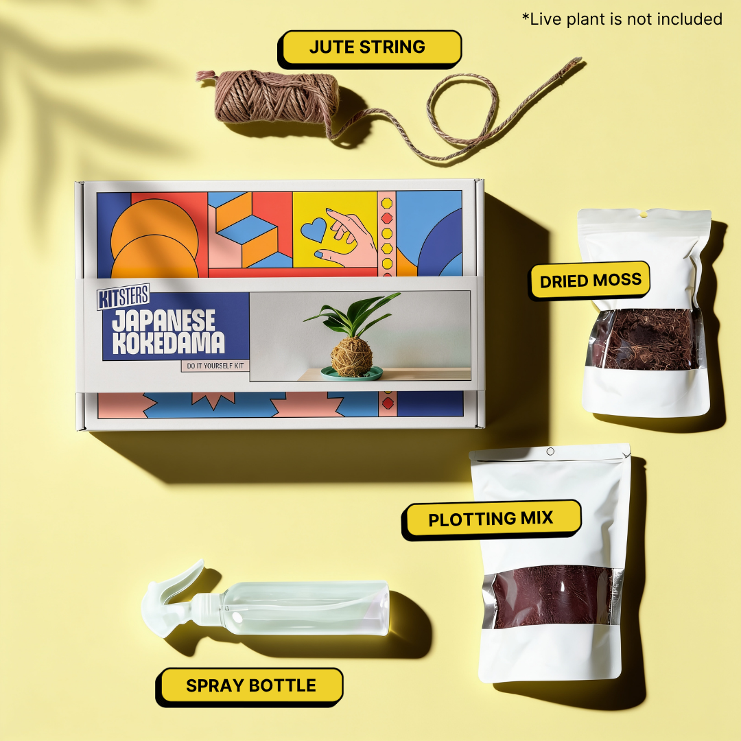 COMBO : DIY Mini Terrarium Kit & DIY Japanese Kokedama Kit