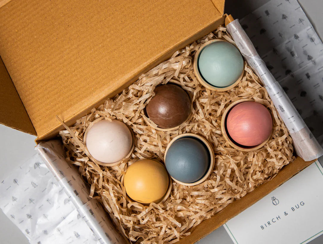 BIRCH & BUG Colour Sorting Set - Set of 12