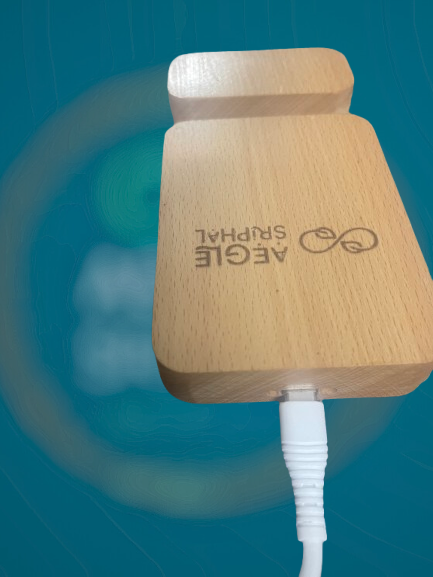 Bamboo Wireless Charger & Phone Holder