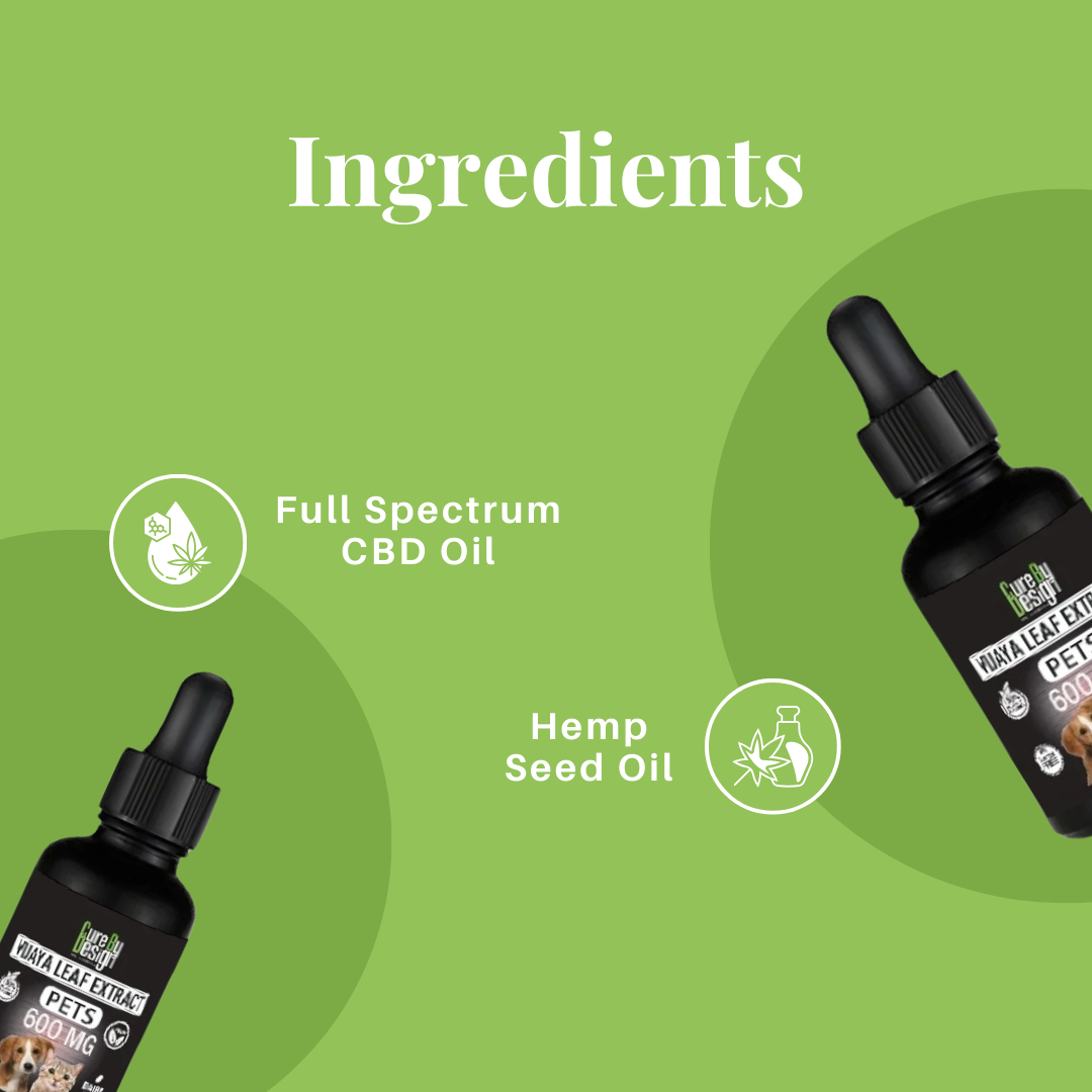 Cure By Design CBD oil for dogs .png