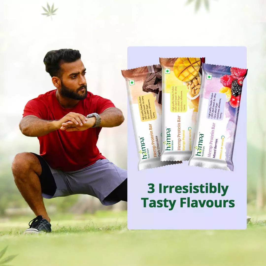 Hampa Wellness Hemp Protein Bar - Mixed Flavours