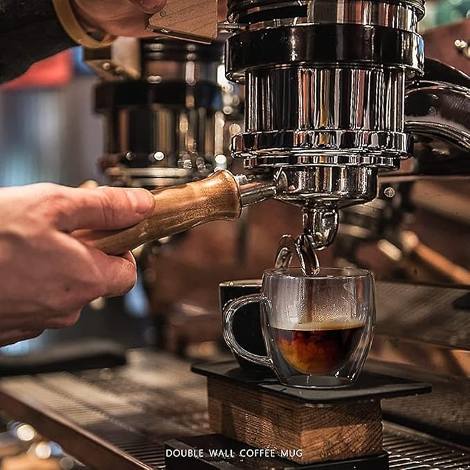 The Bean Co Roasters Double Wall Coffee Cup | Borosilicate Glass | Insulated Layer Cups | Perfect for Coffee and Tea