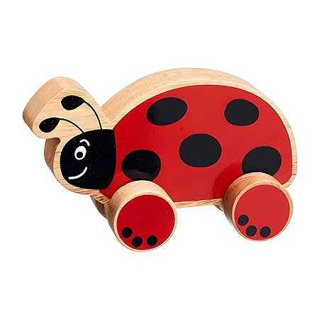 Channapatna Toys Premium Pull Along Toy Wooden Ladybird for 12 Months & Above Kids, Toddlers, Infant & Preschool Toys - Multicolor - with Attached String- Encourage Walking