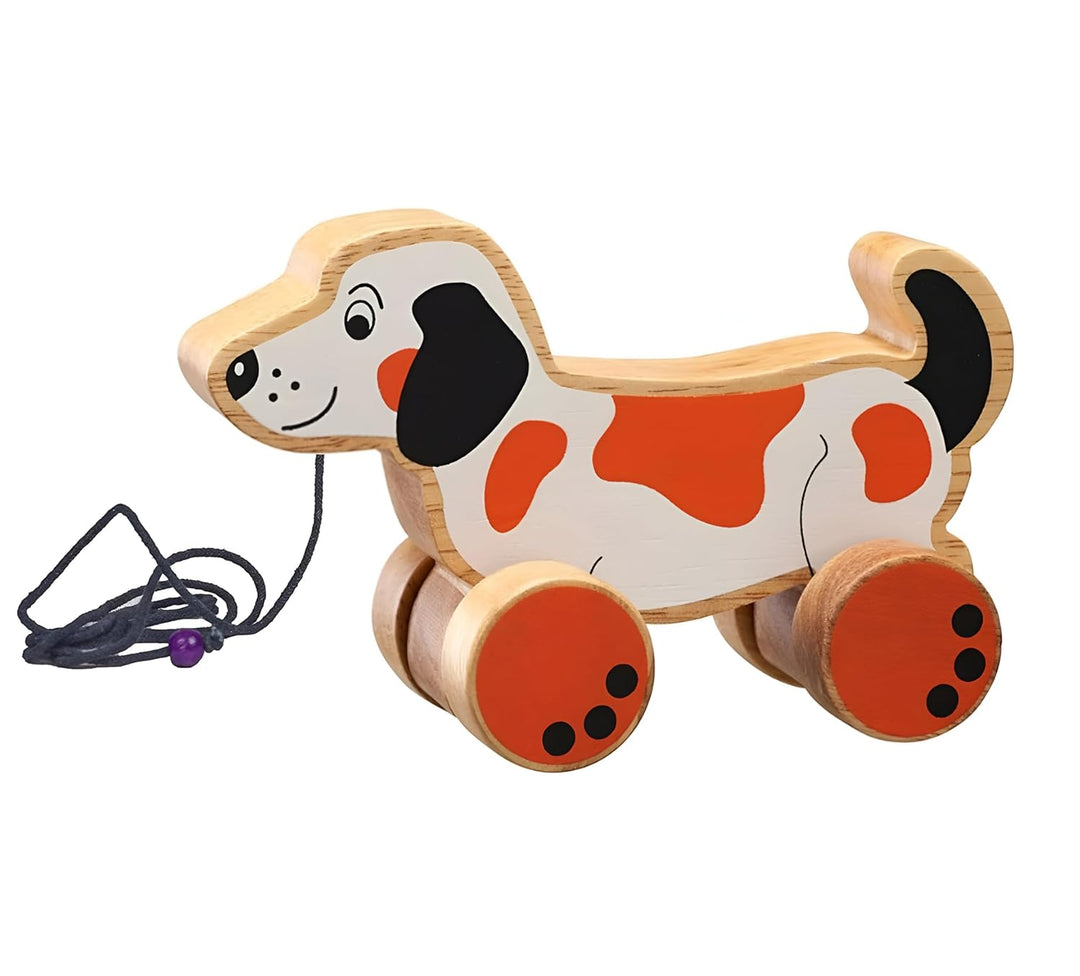 Channapatna Toys Premium Pull Along Toy Wooden Doggy for 12 Months & Above Kids, Toddlers, Infant & Preschool Toys - Multicolor - With Attached String- Encourage Walking