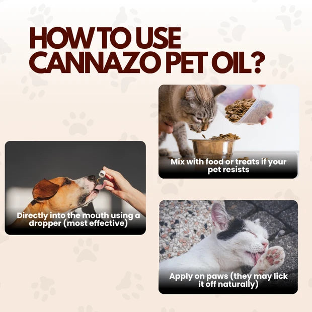 CannazoIndia Cannazo India Pet CBD Oil | Cbd Oil for Dogs and Cats | THC-Free | AYUSH-Approved