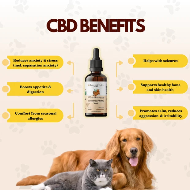 CannazoIndia Cannazo India Pet CBD Oil | Cbd Oil for Dogs and Cats | THC-Free | AYUSH-Approved