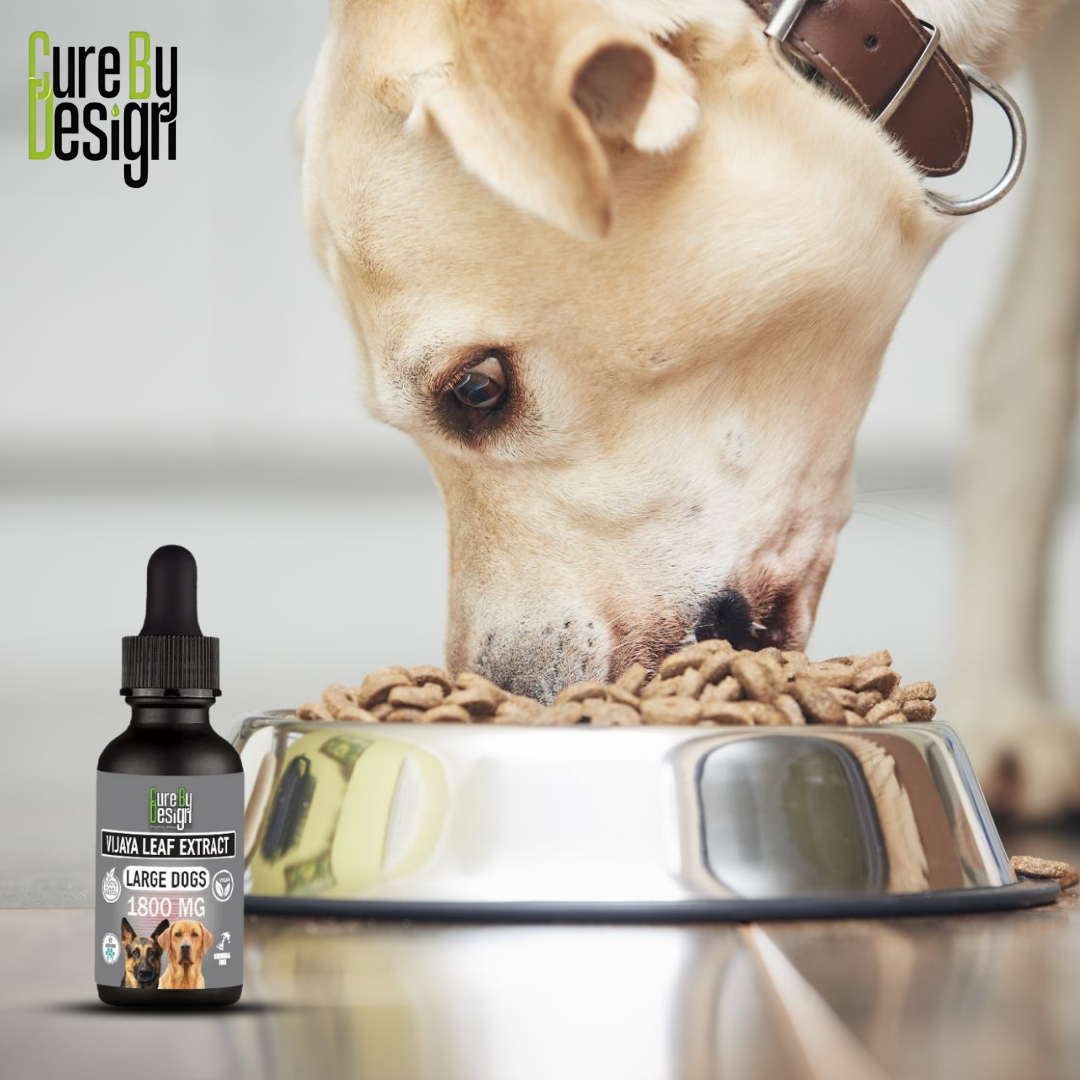 Vijaya For Large Dogs 1800mg Full Spectrum CBD Price.png