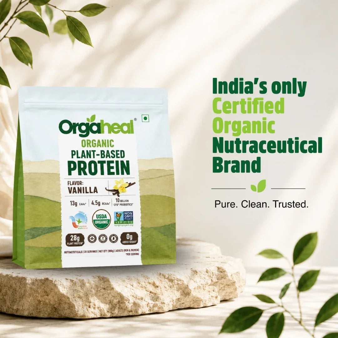 Organic Plant Based Protein Powder Vanilla