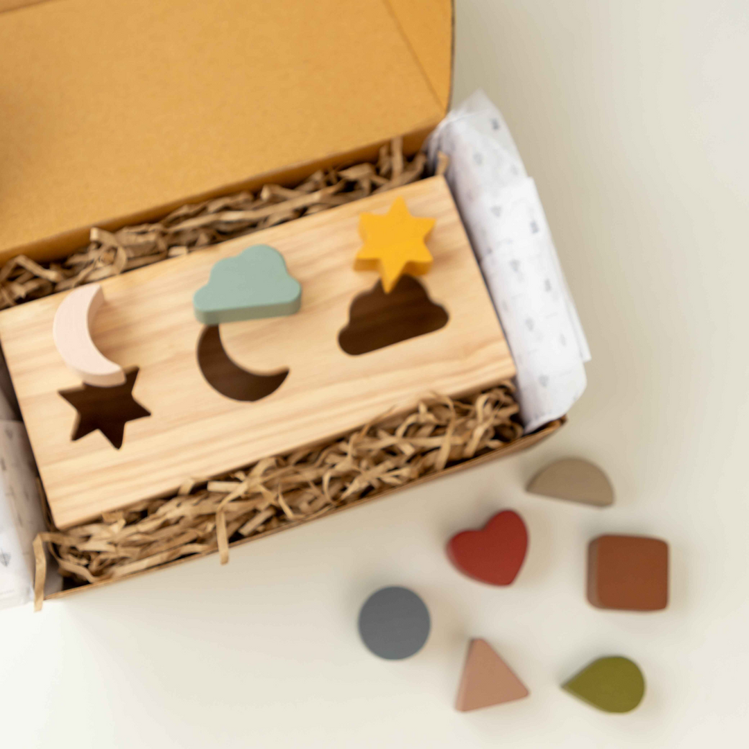 BIRCH & BUG Shape Puzzle box